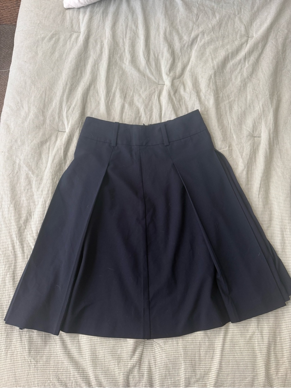 Aritzia Navy Pleated Circle Skirt